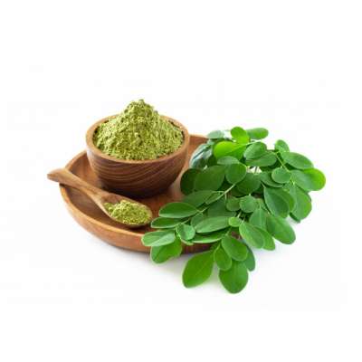 Super Foods Health Benefits Chinese Mint Green Teabags with Moringa